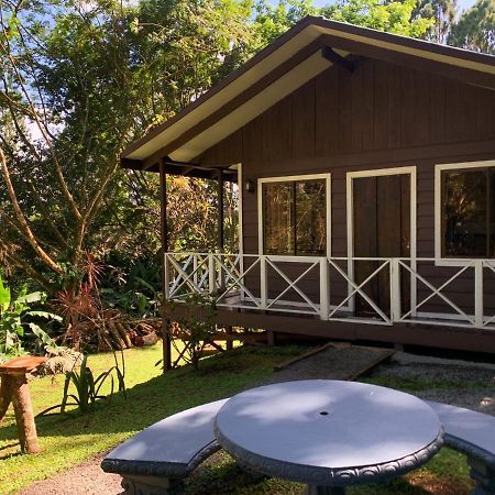 Hospedaje La Naciente Turrialba Exterior foto