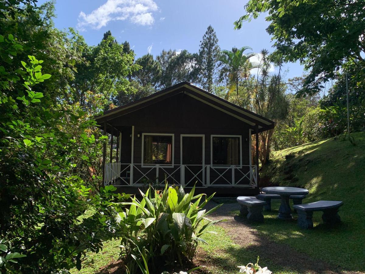Hospedaje La Naciente Turrialba Exterior foto