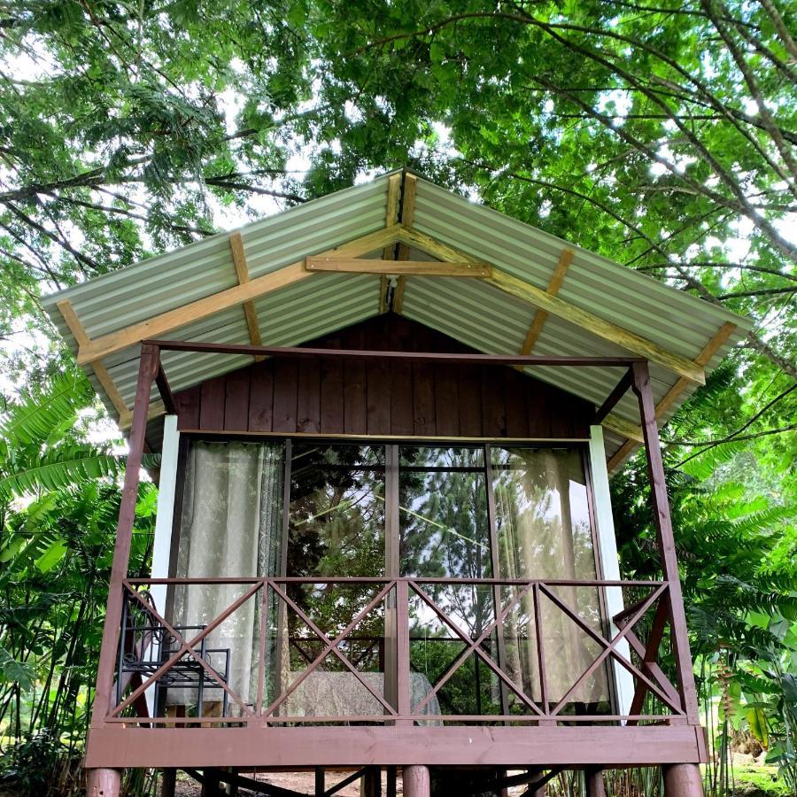 Hospedaje La Naciente Turrialba Exterior foto