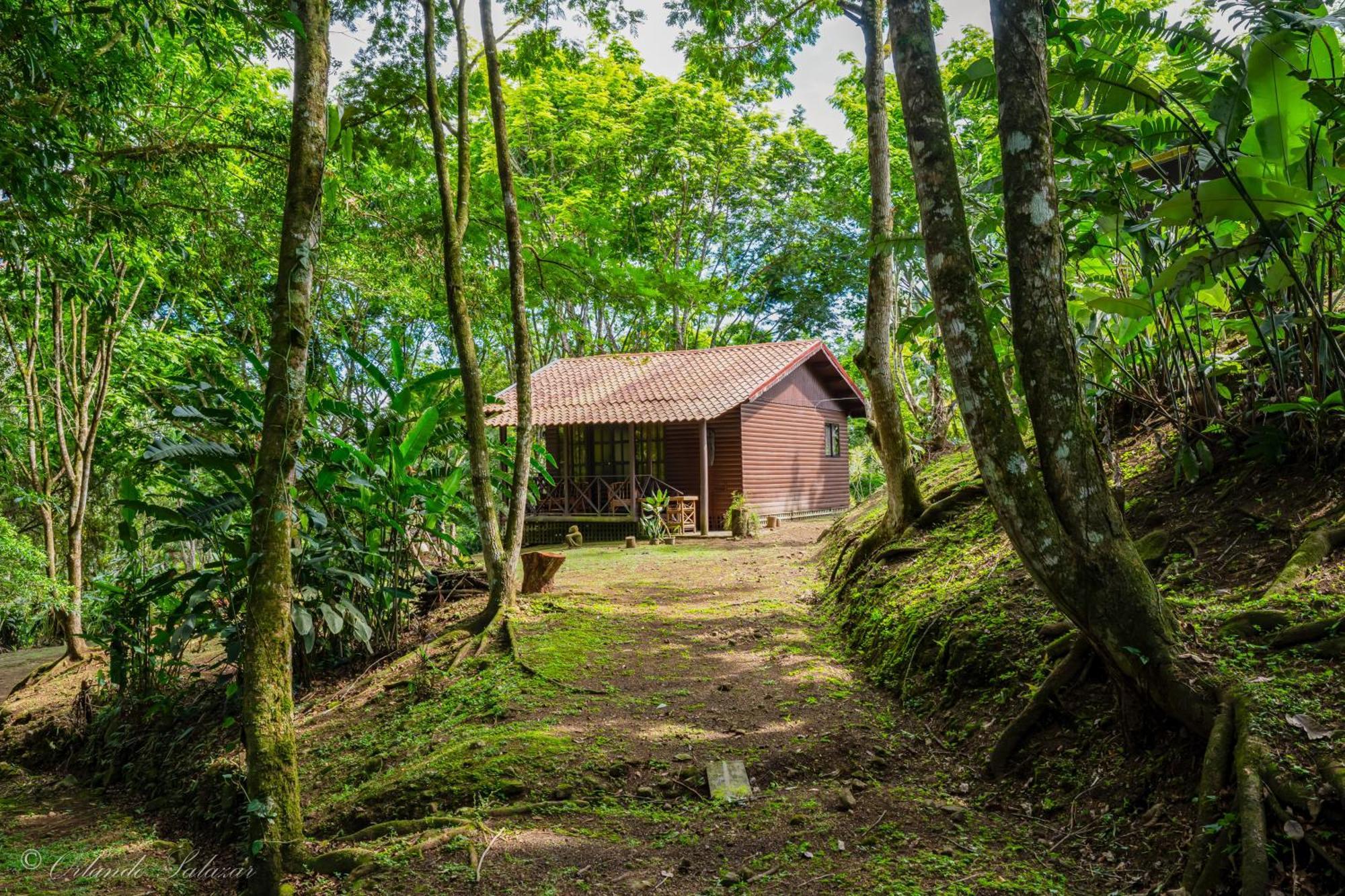 Hospedaje La Naciente Turrialba Exterior foto