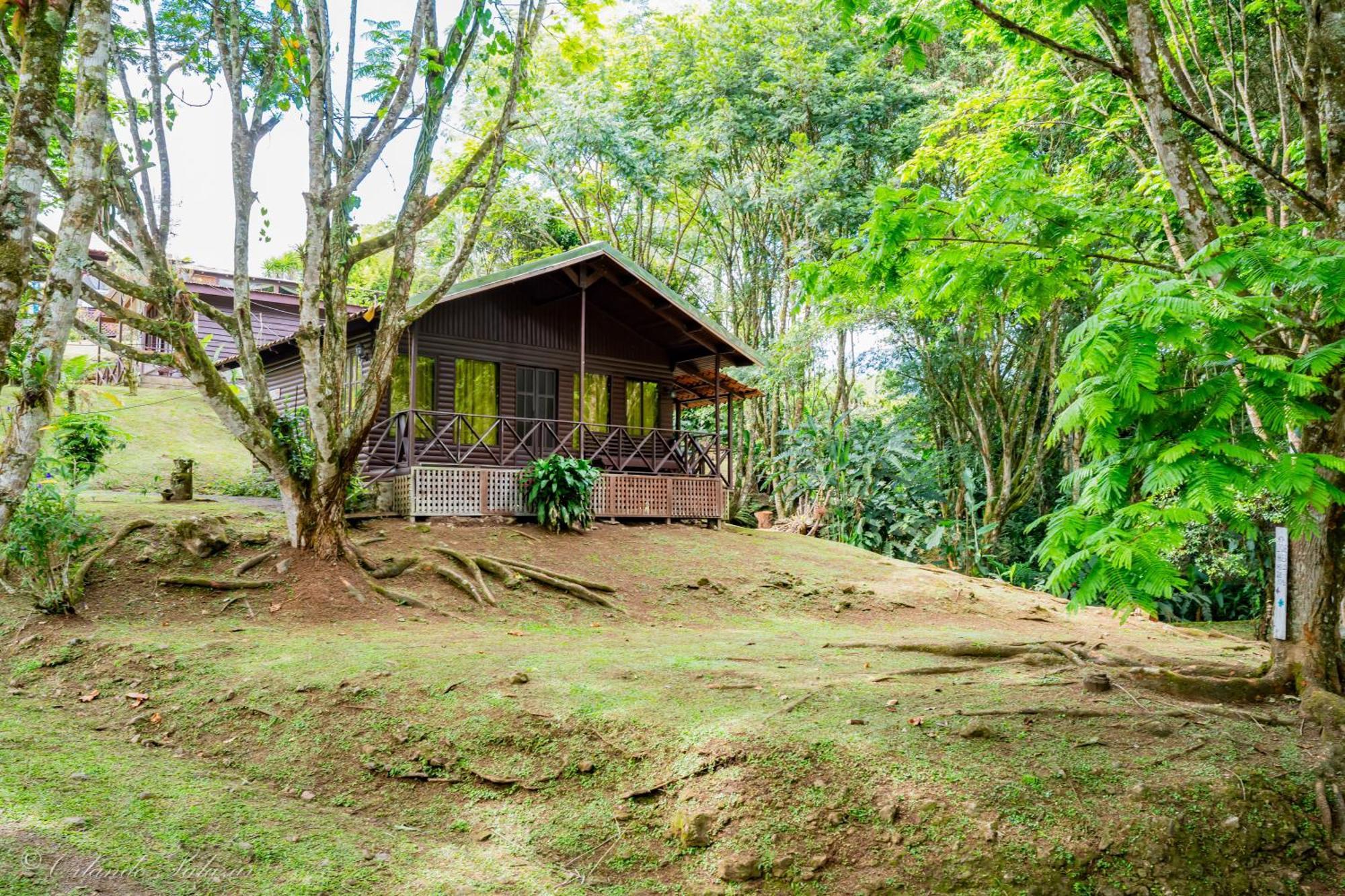 Hospedaje La Naciente Turrialba Exterior foto