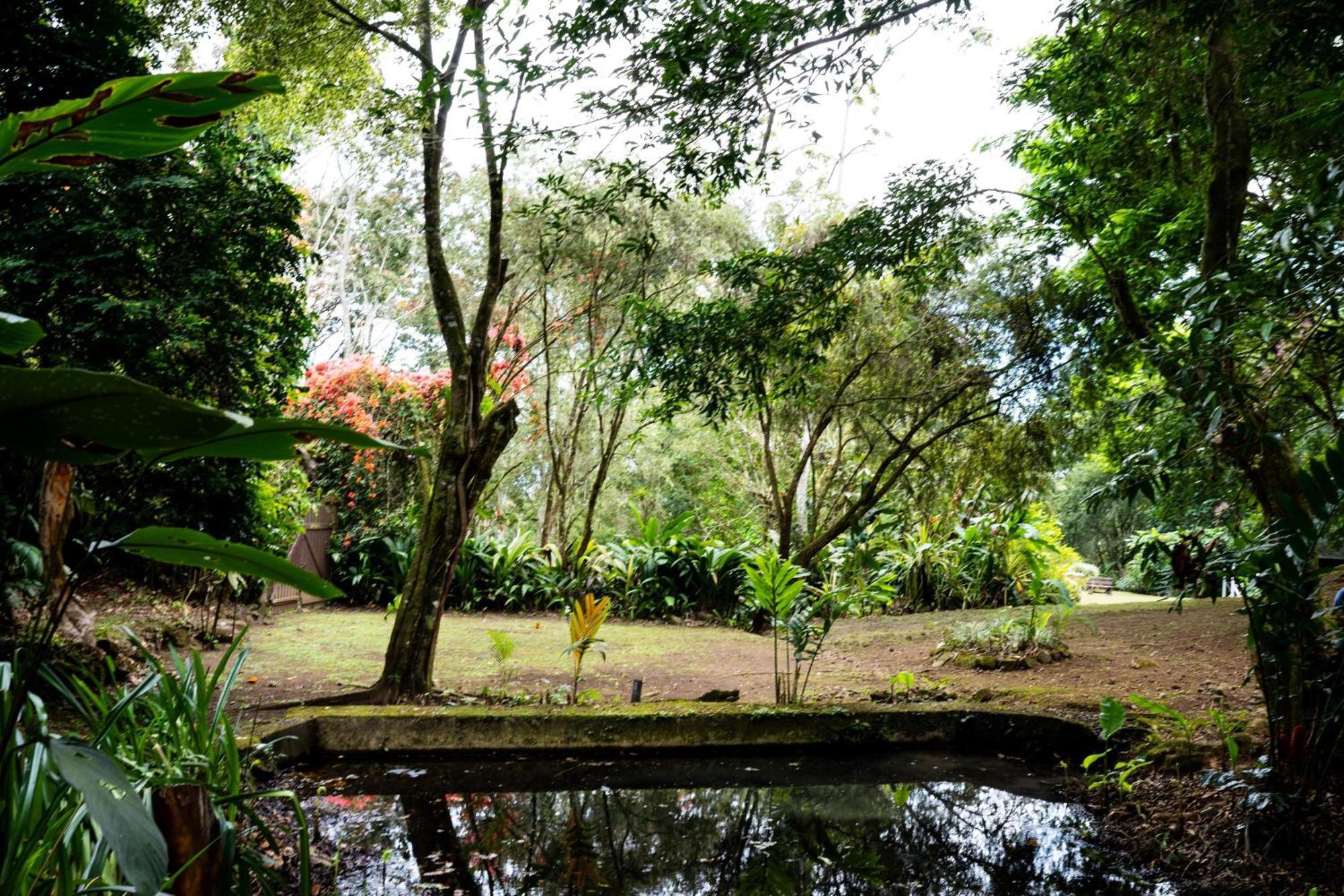 Hospedaje La Naciente Turrialba Exterior foto