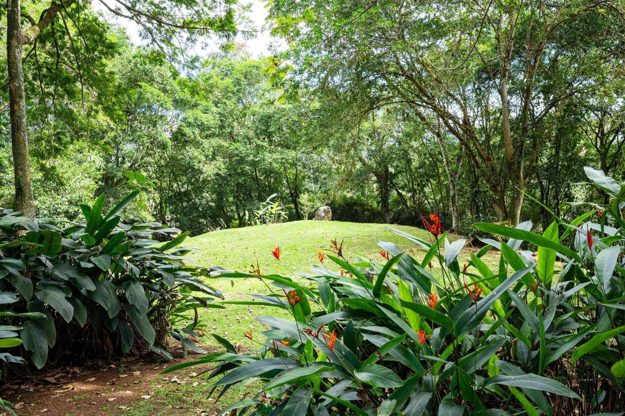 Hospedaje La Naciente Turrialba Exterior foto