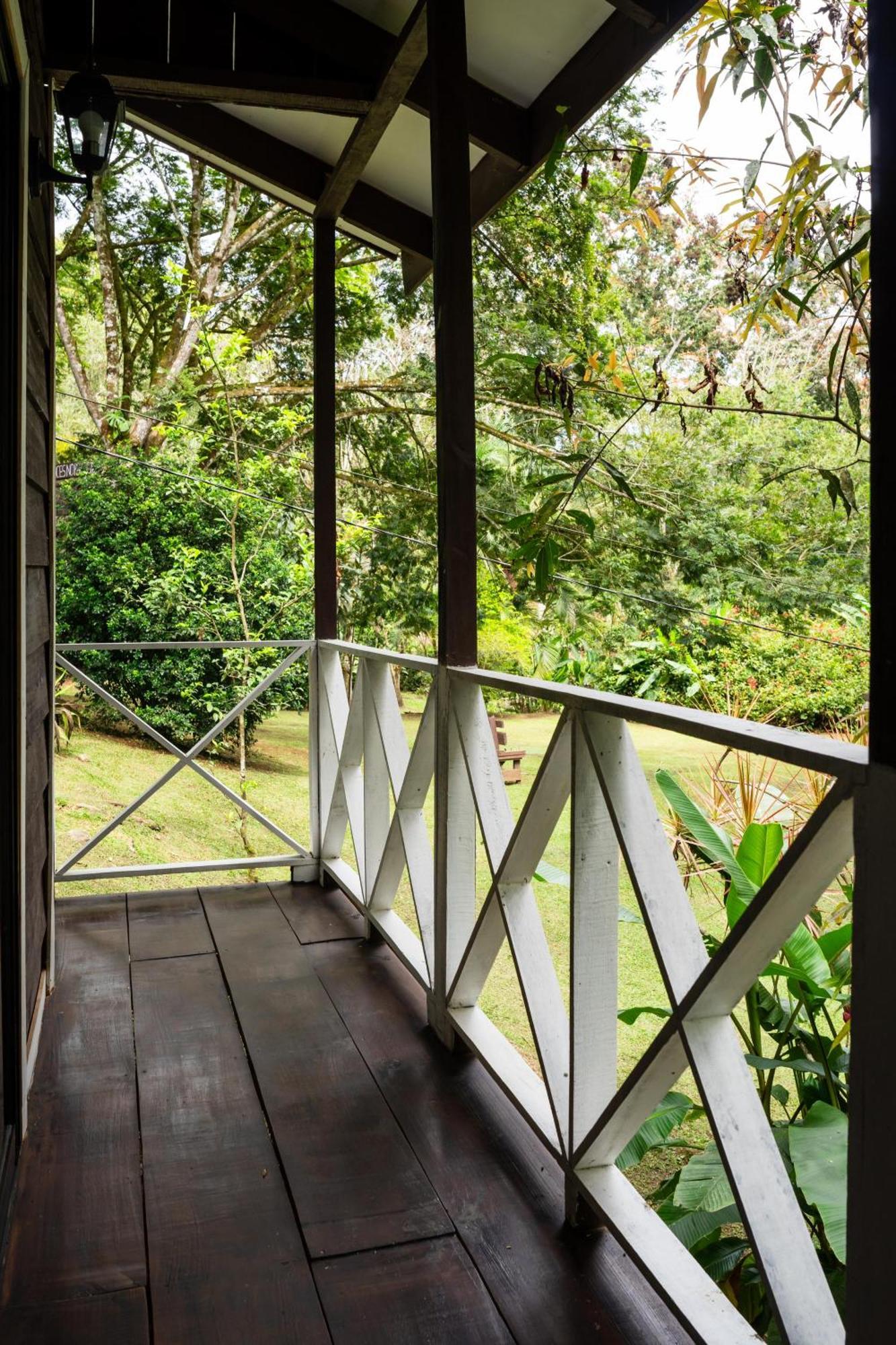 Hospedaje La Naciente Turrialba Exterior foto