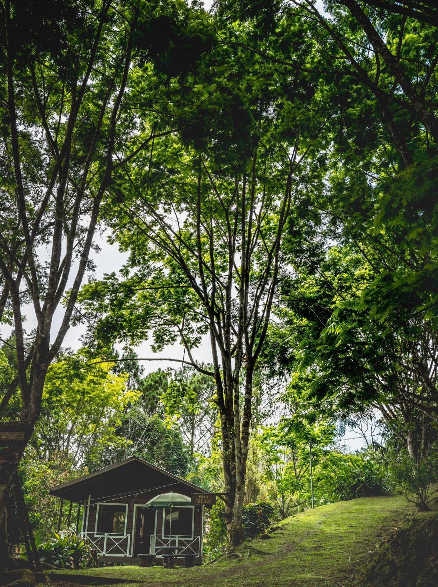 Hospedaje La Naciente Turrialba Exterior foto