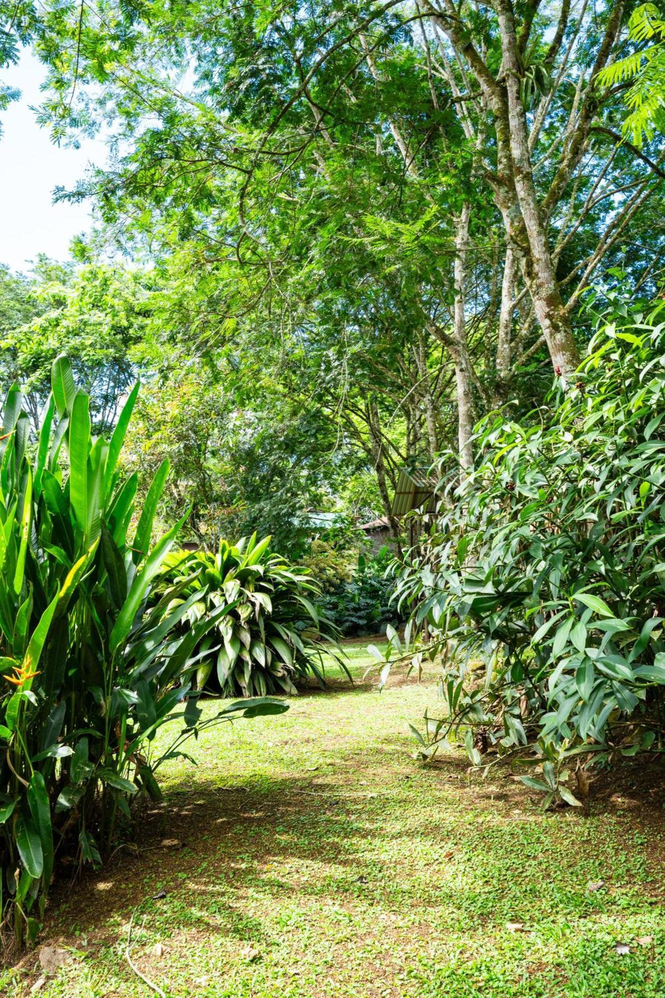Hospedaje La Naciente Turrialba Exterior foto