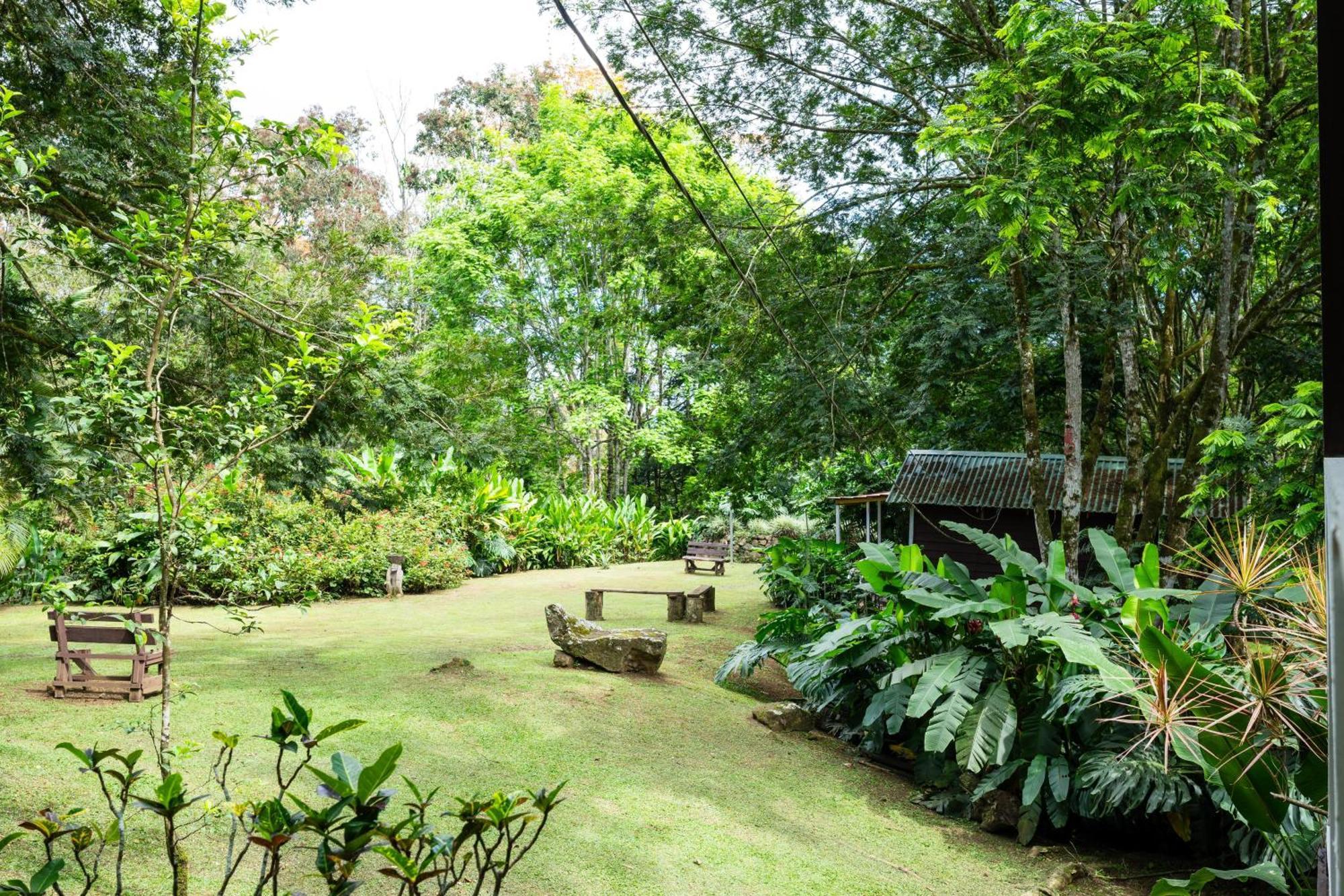 Hospedaje La Naciente Turrialba Exterior foto