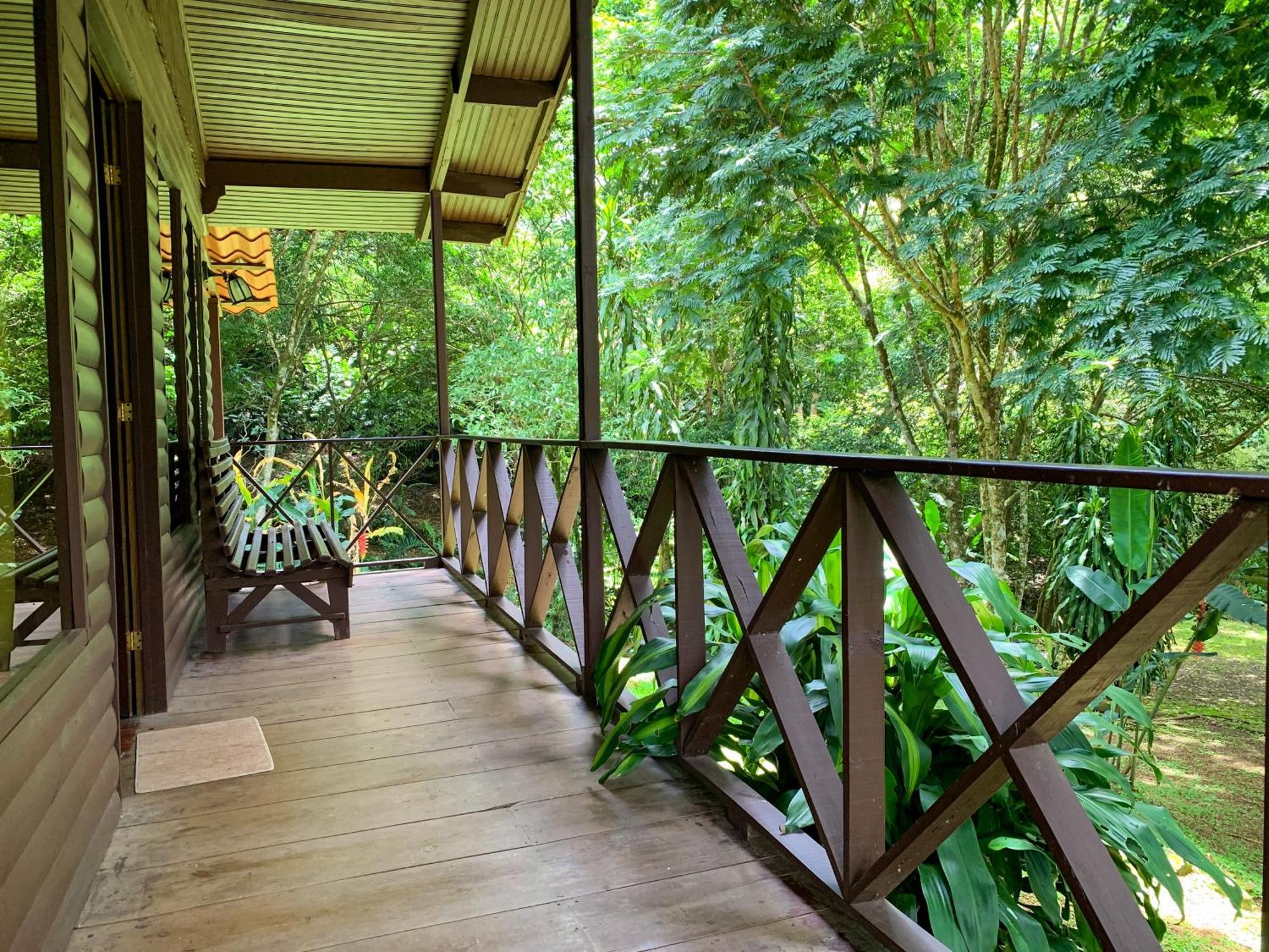 Hospedaje La Naciente Turrialba Zimmer foto