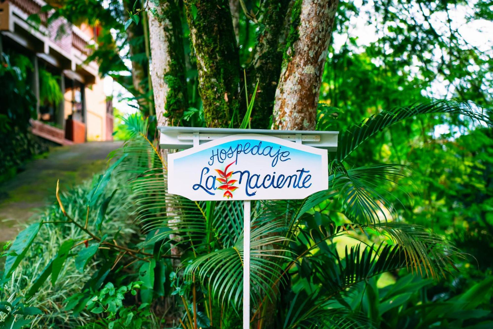Hospedaje La Naciente Turrialba Exterior foto