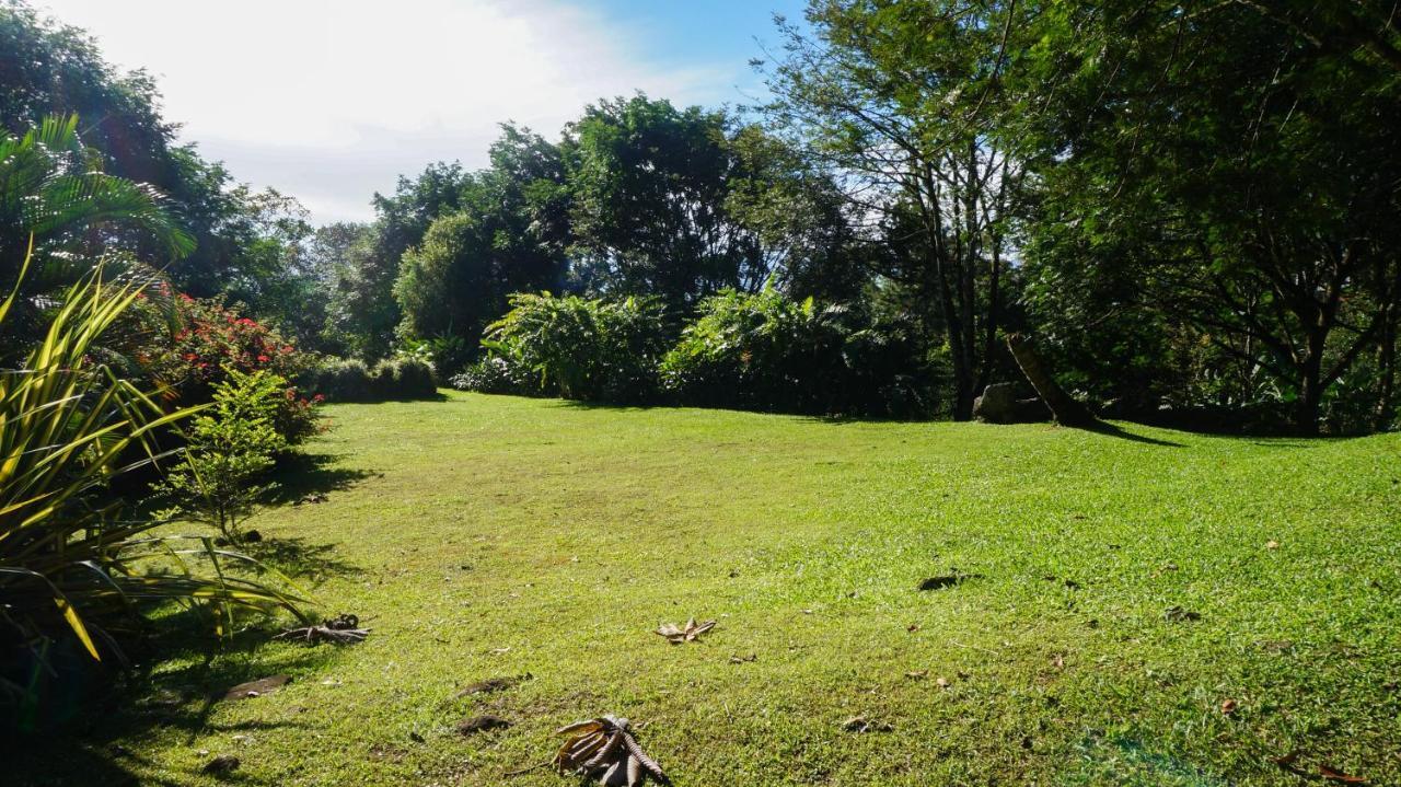 Hospedaje La Naciente Turrialba Exterior foto