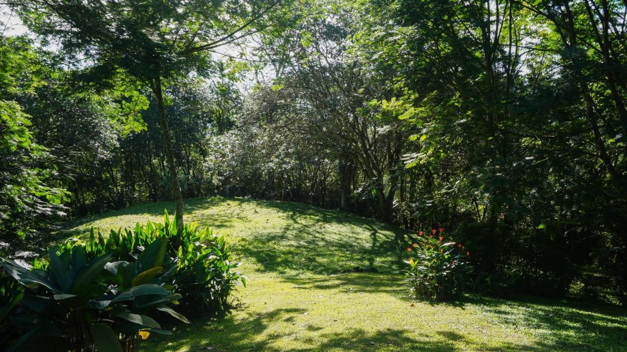 Hospedaje La Naciente Turrialba Exterior foto
